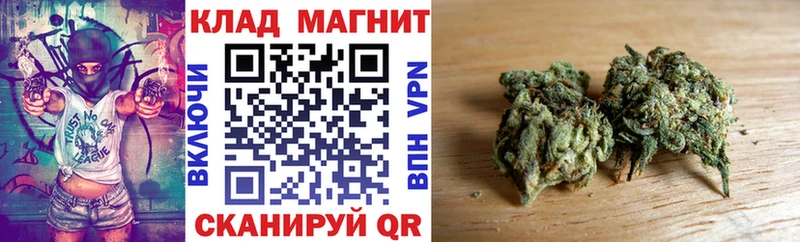 Продажа наркотиков Андреаполь ГАШ  Канабис  КОКАИН  гидра рабочий сайт  Меф мяу мяу 