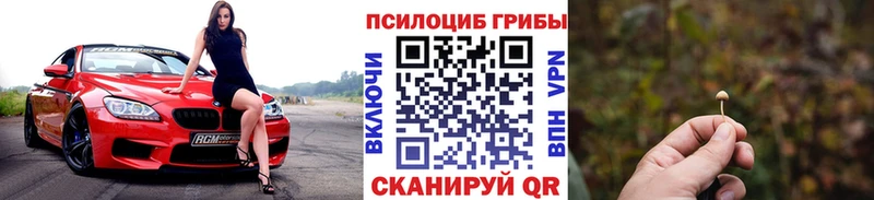 Галлюциногенные грибы GOLDEN TEACHER  дарнет шоп  Андреаполь 